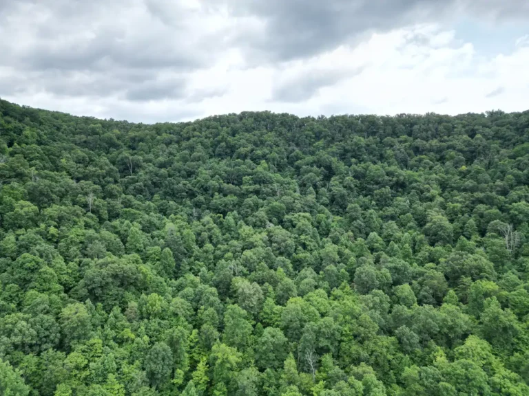 DJI_0087